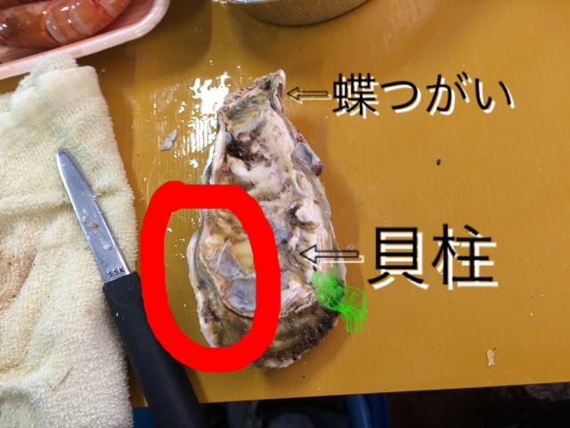 DA046812-C99C-4D8A-9A0A-7C298E374F2B.png
