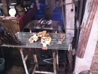 IMG_2508.jpg