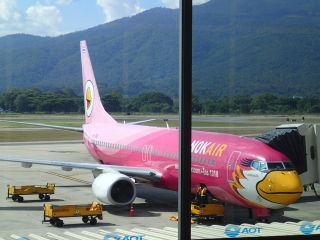PA251122.jpg